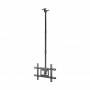 Soporte de techo giratorio/ inclinable/ extensible aisens ct80tse-075 para tv de 37-80'/ hasta 50kg